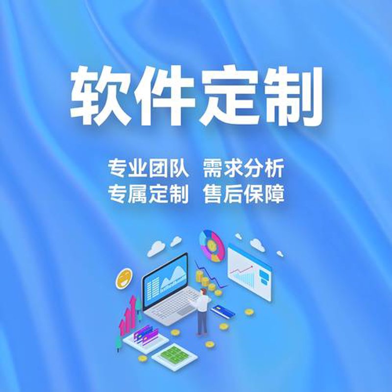 系统定制开发：让企业运营如虎添翼